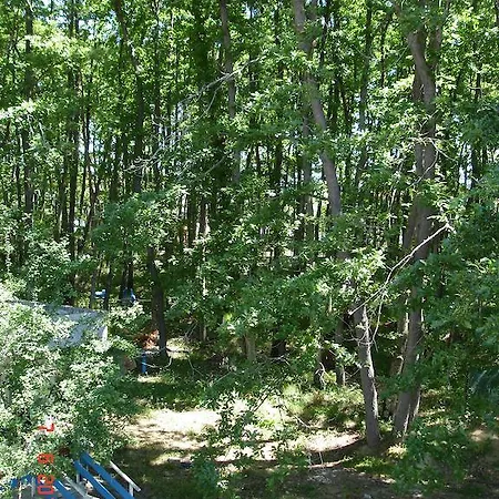 Park 1 Kiten (Burgas)