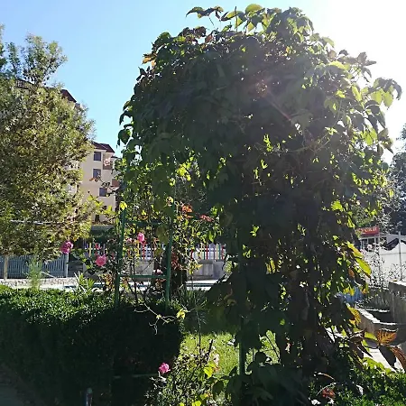 호텔 Park 1 키텐