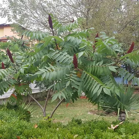 хотел парк 1 Хотел 2*